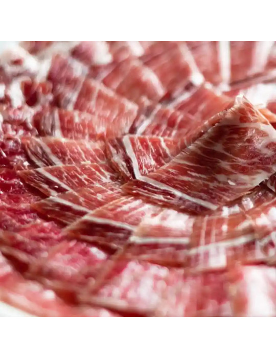 15 platos de paleta ibérica de cebo ibérica 50% raza ibérica