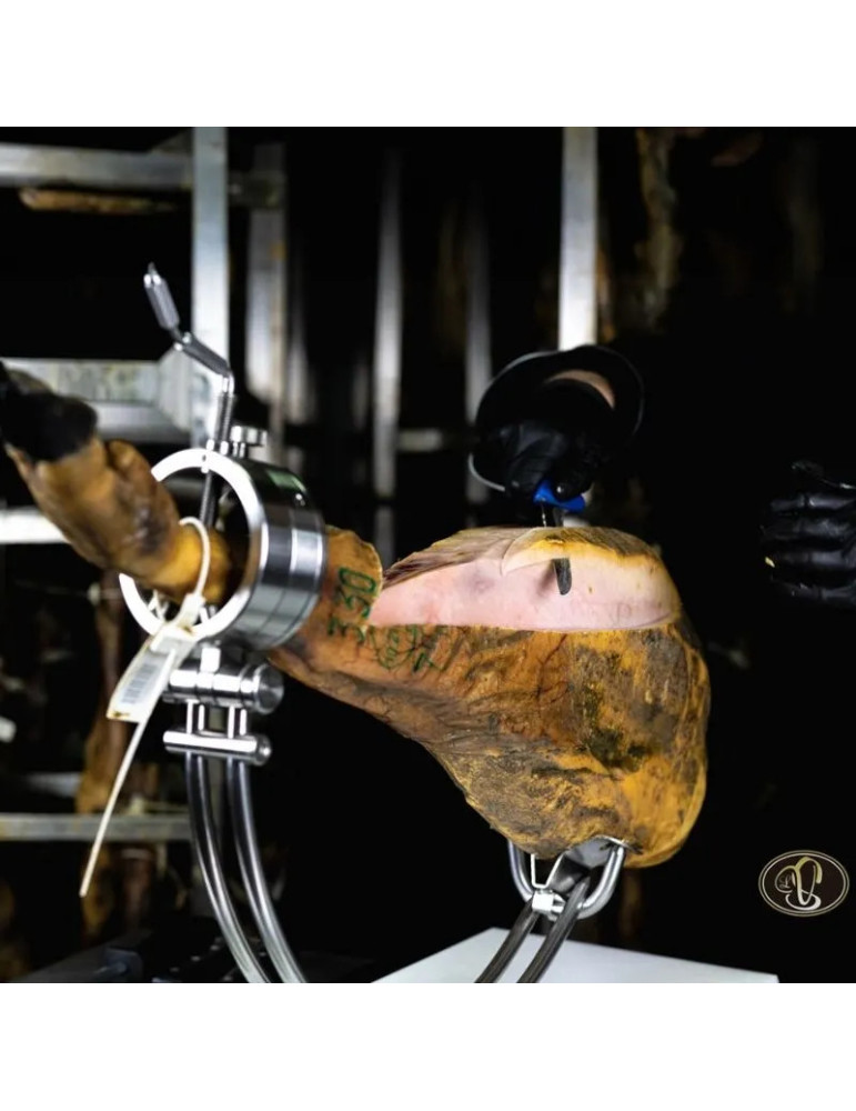 Jamón de cebo de campo ibérico 50% raza ibérico