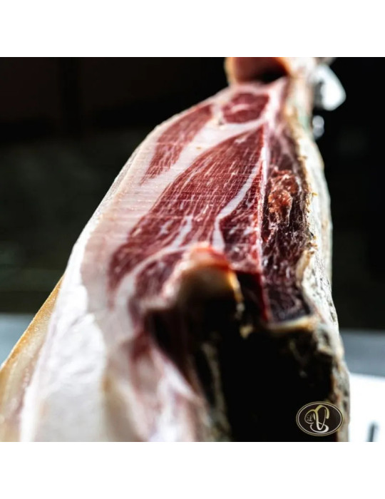 10 Platos de Jamón Ibérico de Cebo de Campo