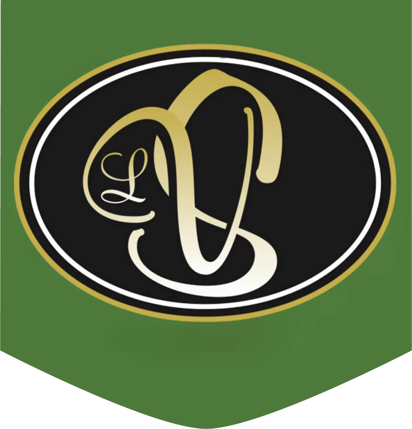 Logo de la Vega de Salvatierra