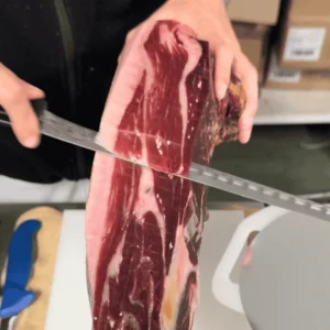 cristales de tirosina